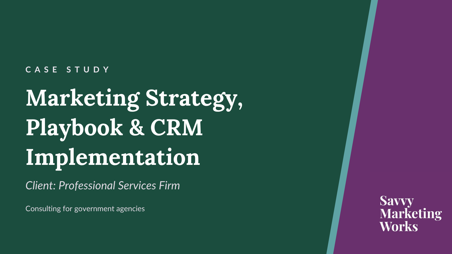 Professional Services for Government Case Study